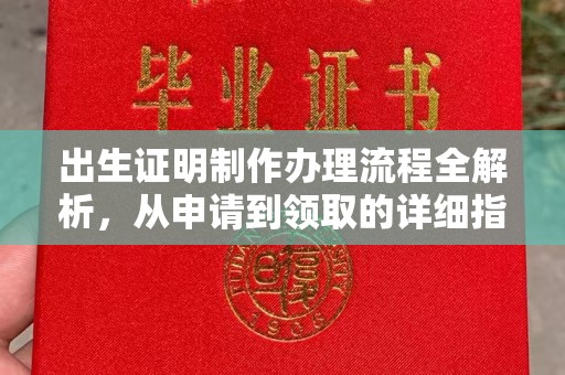 丹棱出生证明制作办理流程全解析，从申请到领取的详细指南